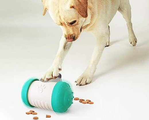 Dispensador Didáctico