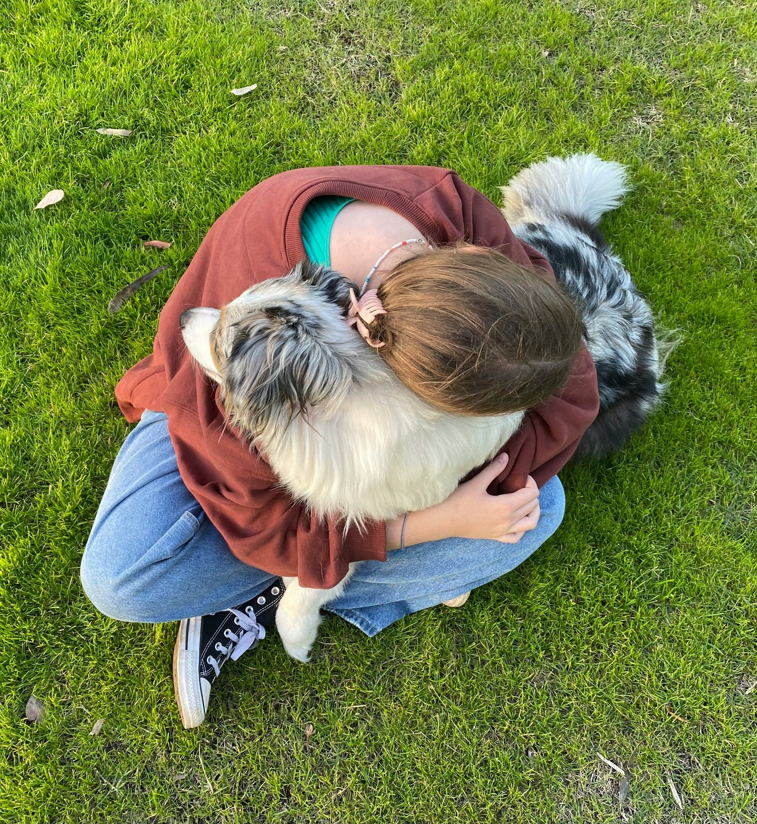 Pet Lovers