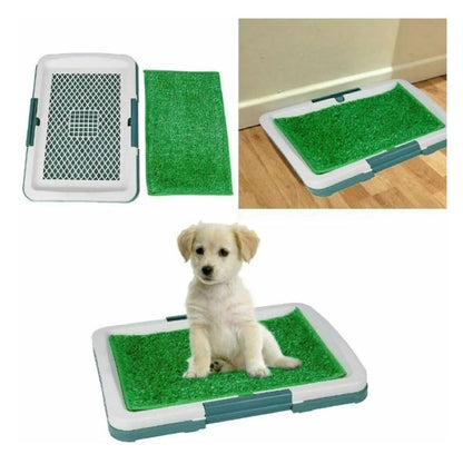 Tapete Entrenamiento al baño