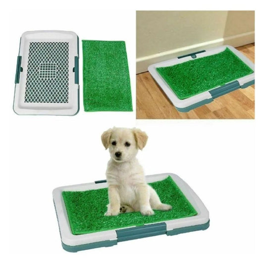 Tapete Entrenamiento al baño