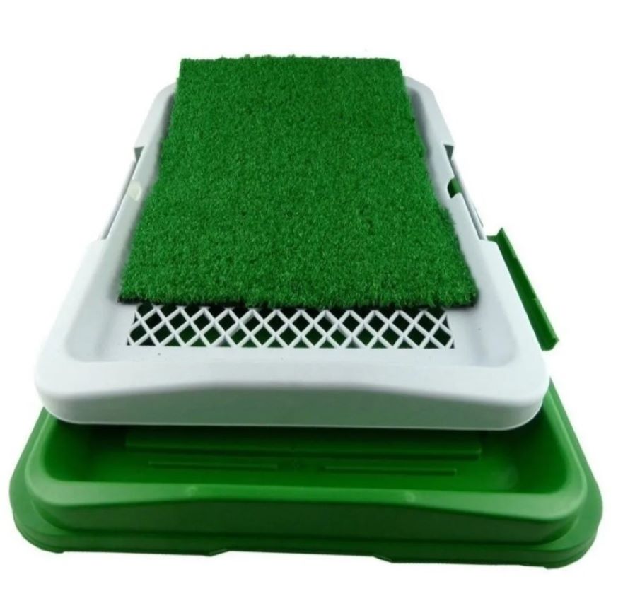 Tapete Entrenamiento al baño