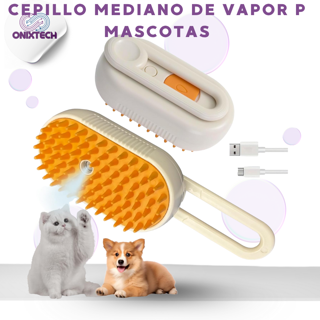 Cepillo De Vapor